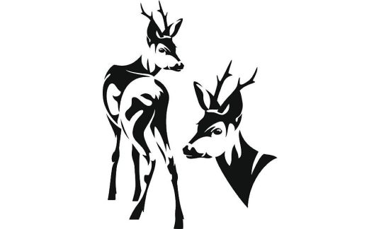 Autorisation chasse chevreuil